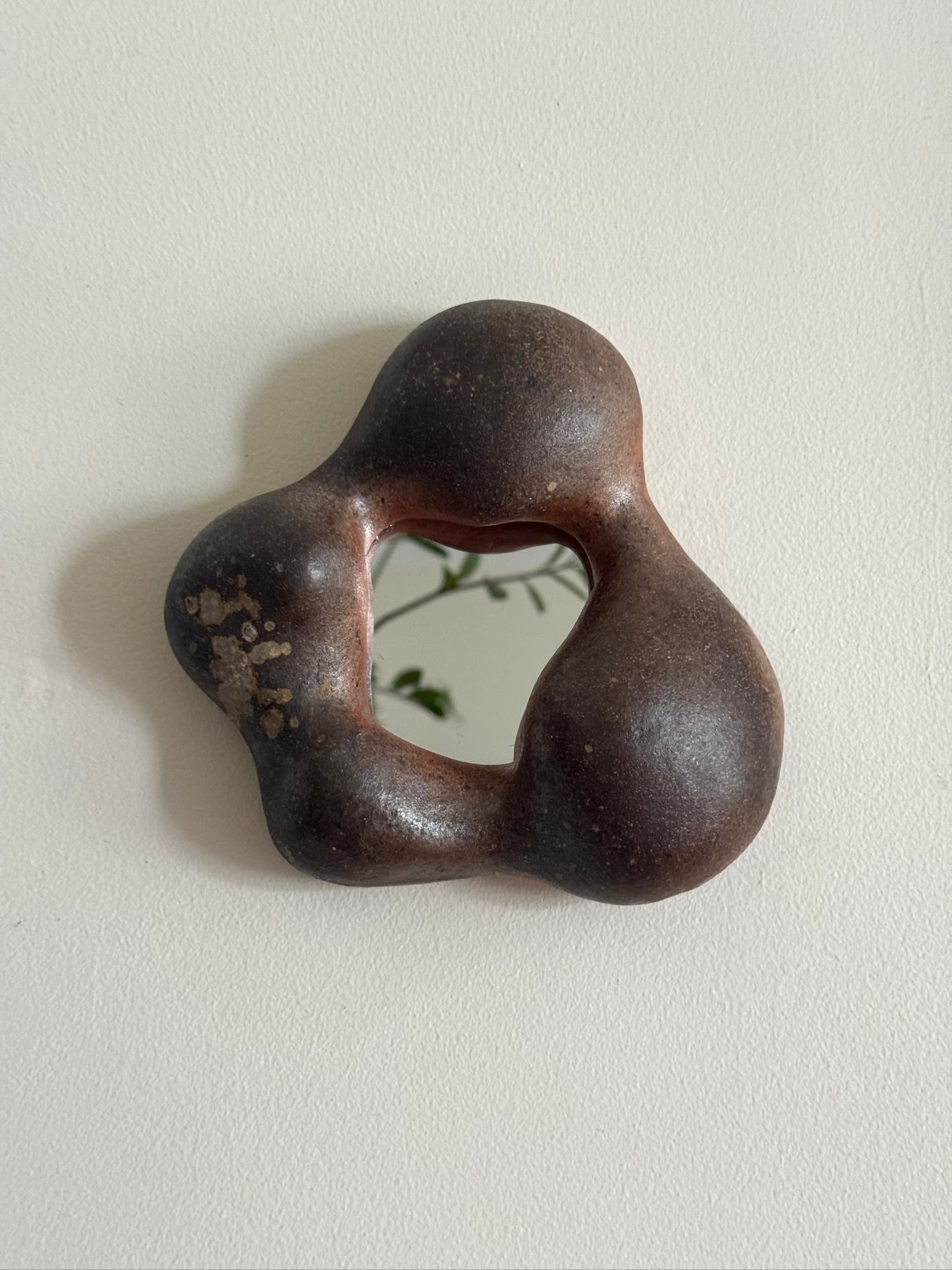 Manzanita Mirror 20