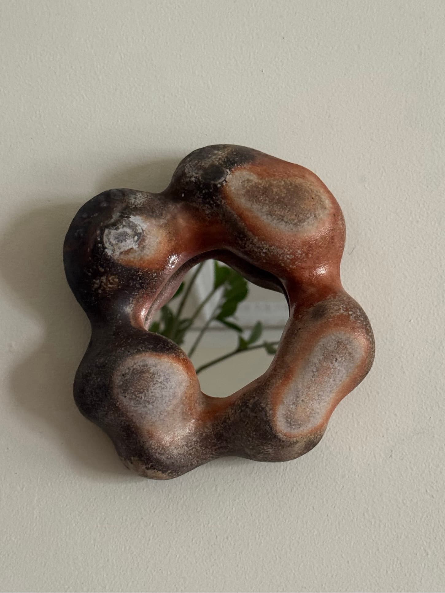 Manzanita Mirror 19